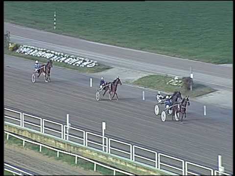 Trotto 02/10/2016 - 2ª prova di qualifica