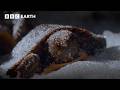 These Turtles Defrost After Freezing In The Winter BBC Earth