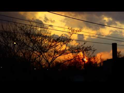 MURRRLAND - THE INTRO