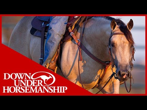 Clinton Anderson: Square Pen Control, Part 2 - Downunder Horsemanship