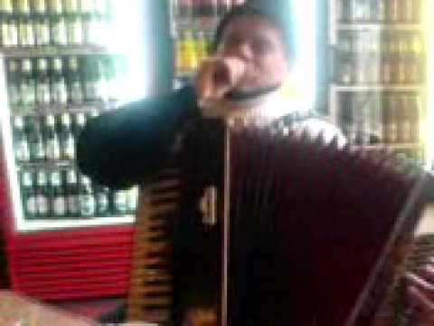 ION TALENT DE LA CALINESTI 2