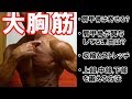 大胸筋を効果的に鍛える肩甲骨の寄せ方!胸の上部、中部、下部の場所と鍛え方を解説