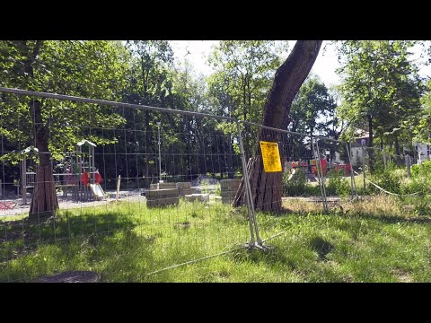 Niepożądani goście w parku przy al. Niepodległości