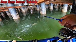Download lagu Ini Lah Hasil Tangkapan ikan Terbesar Selama Saya Mancing. mp3