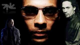 "Centre of the Storm" (feat. Zack de la Rocha) - Roni Size & Reprazent [+Lyrics Link]