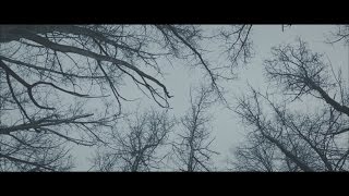 D-Pulse - Anna  (Official Music Video)