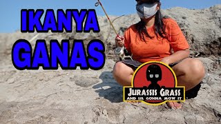 Download lagu MANCING AMBYAR ~  FISHING MANIA ~  MANCING MANIA - Ikannya Ganas Tapi Susah Dapatnya. mp3 Download lagu MANCING AMBYAR ~  FISHING MANIA ~  MANCING MANIA - Ikannya Ganas Tapi Susah Dapatnya. mp3