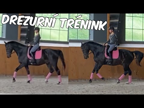 Drezurní trénink po dlouhé době