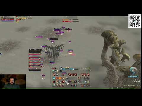 L2Feel Gallery