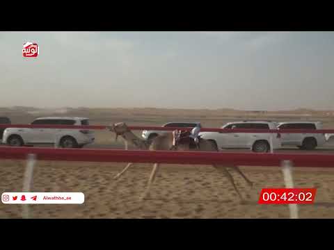  ش 15 (فزعه) لـ حمد البوصي الاحبابي 2:09 , شارة الصندوق 2026/04/25 فطامين الروضة