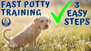 Potty Train Your Puppy in a Week (Easy 3 Step Process) #48