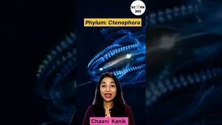 Phylum Ctenophora in 30 seconds | NCERT RAPID 🔥 REVISION | Animal Kingdom class 11 NEET | NEET 2025