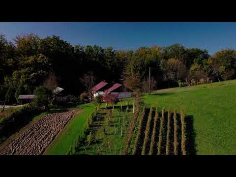 Predstavitev nepremičnine - občina Šmarje pri Jelšah