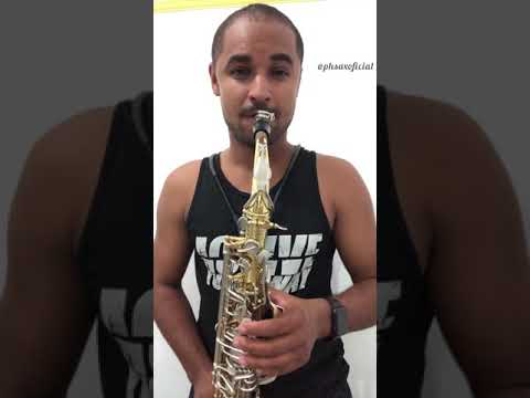 Bruninha - kevinho e tierry  saxofone