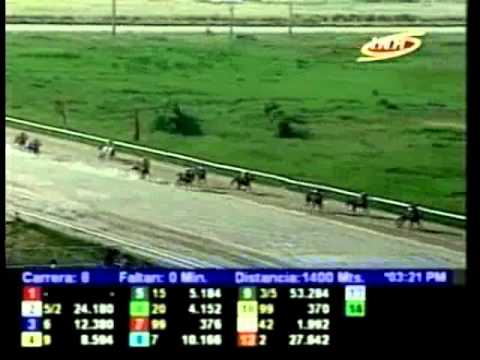 Resumen Viernes, 22 de Noviembre de 2013 - Valencia