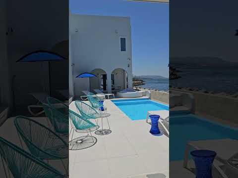 terrasse-piscine-jardin-exotique-piscine-extérieure-bain à remous-mobilier