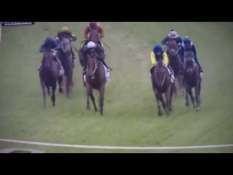 2017 George Ryder G1 WINK`S 16 in a row ,,,,, BEST TURF HORSE