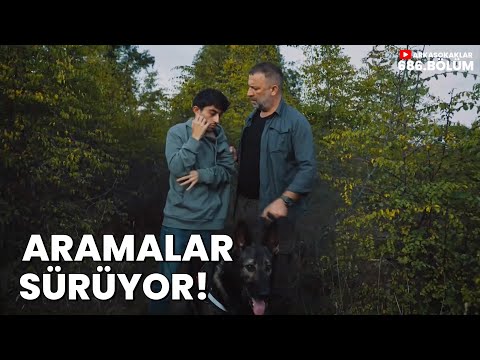 Aramalar Her Yerde Mesut ODUNU Verdi 686. Bölüm
