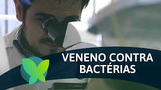 Miniatura do vídeo