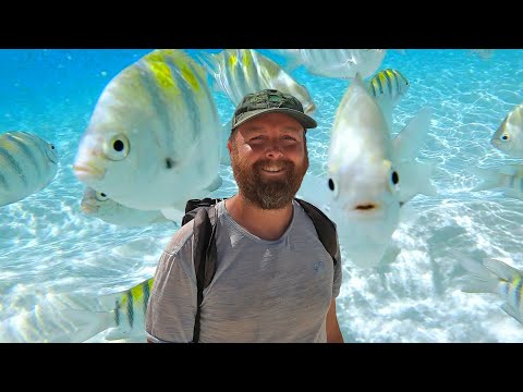 How I Got to The Bahamas From a Barstool In Florida