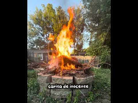 Jxdyy - Me Prendes (Visualizer) 