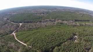 preview picture of video 'Camden Forest - 1,554 Acres'