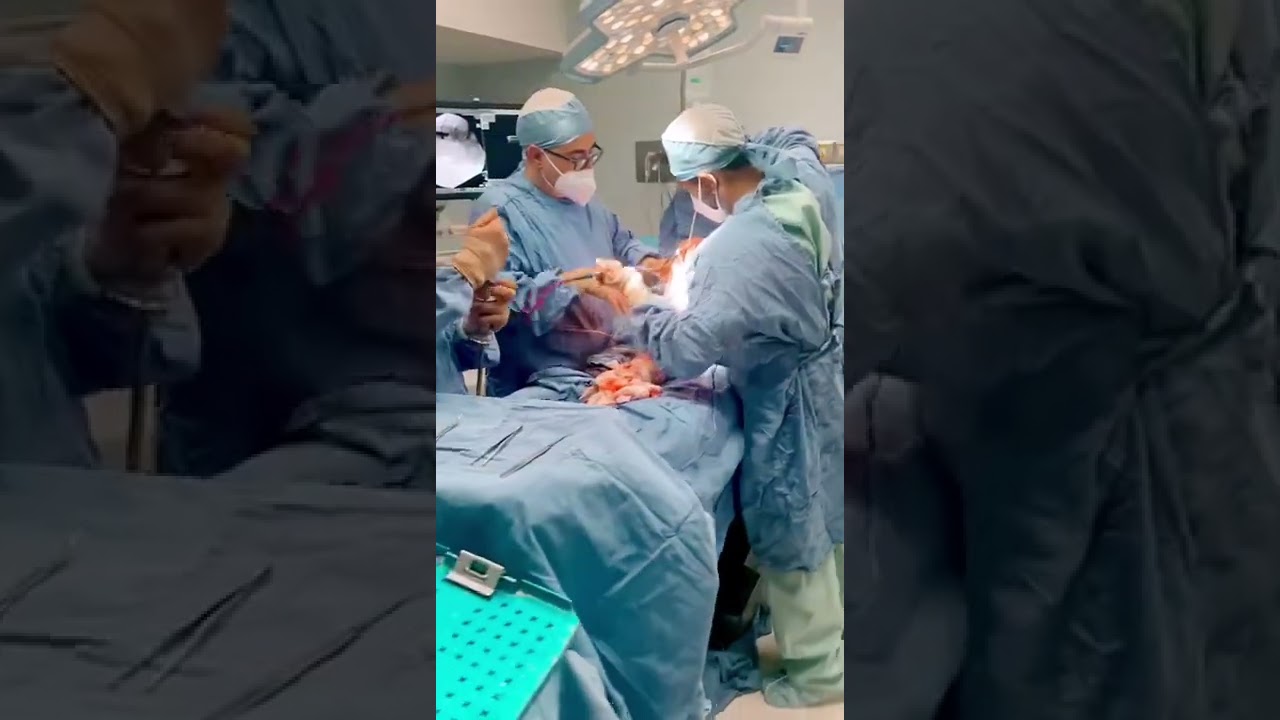 Felix Alfaro Arias-47