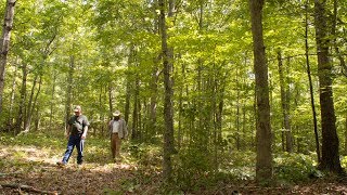 KY Agriculture Water Quality Act - Tallow Creek