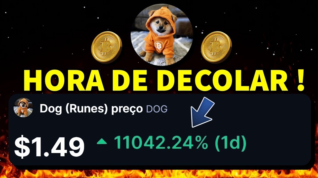 DOG GO TO THE MOON O MOVIMENTO QUE PODE MUDAR TUDO ACONTECEU...