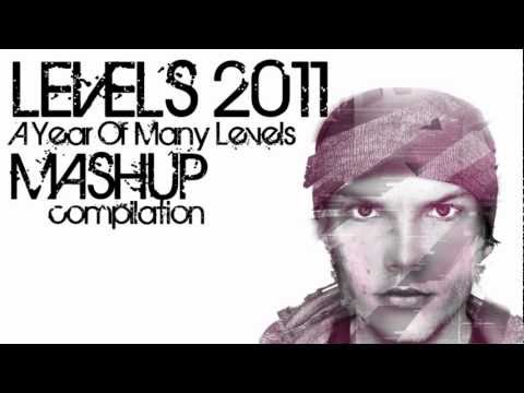 A YEAR OF MANY AVICII LEVELS [Avicii Levels Mashup Compilation]
