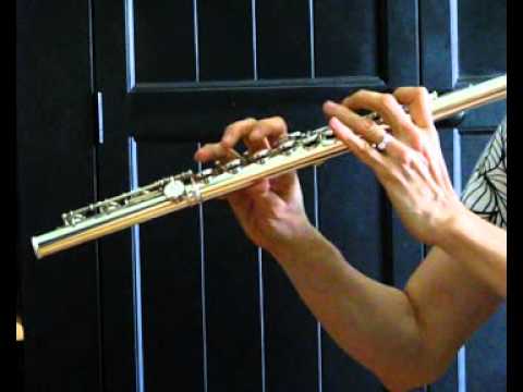 Powell Custom Handmade Flute (Used) - Heavy Wall - Response Video
