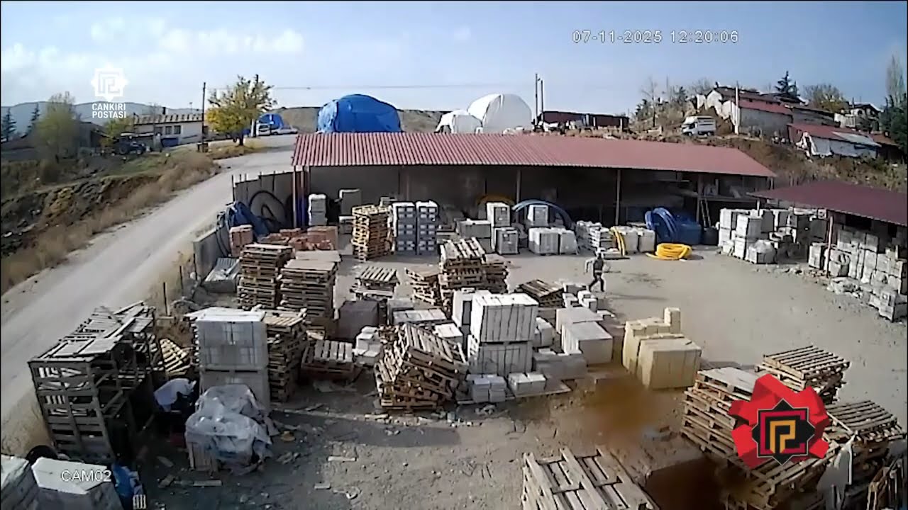 Çankırı’da Kaçan Düve Ortalığı Birbirine Kattı!