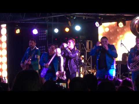 Regulo Caro - El escudo del chavo, la Tiendita, El Rubio ( en vivo )