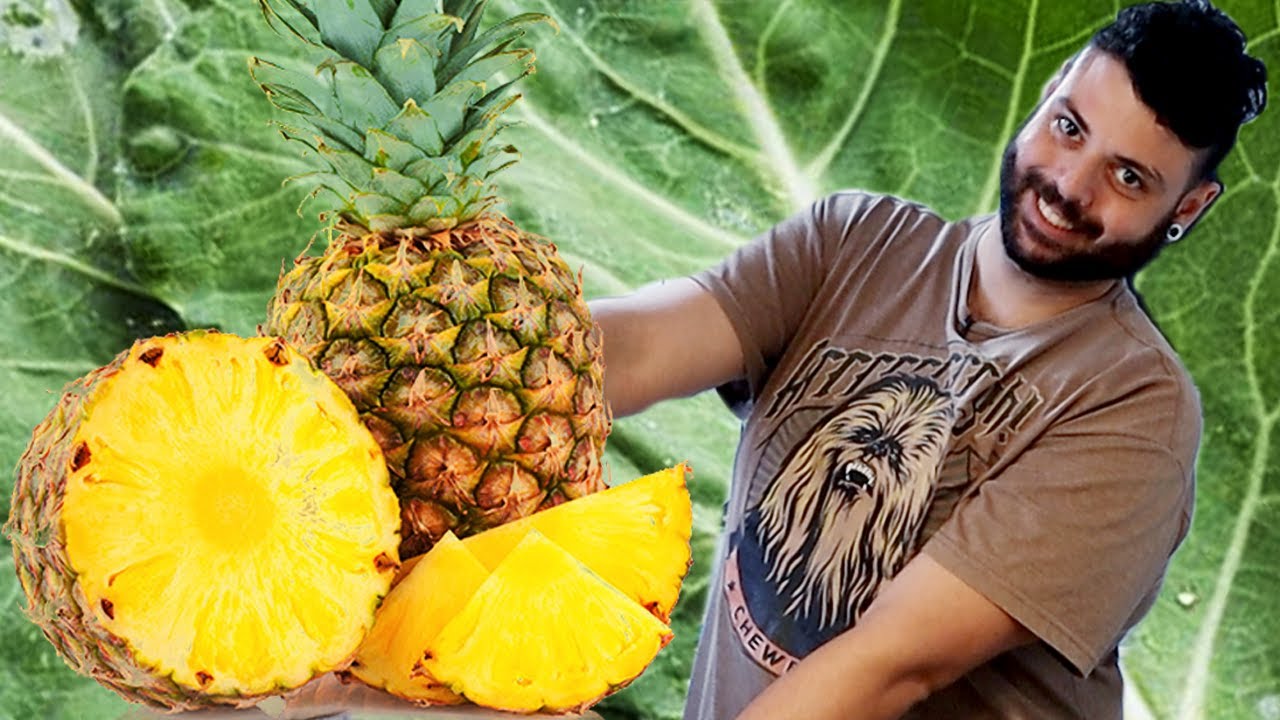 Suco Detox de Couve com Abacaxi | Bariátrica Na Cozinha #01