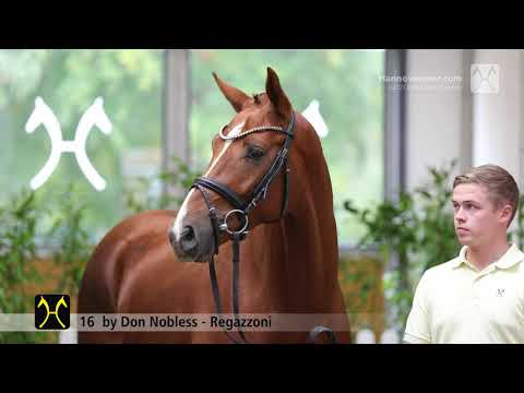 Verden Stallion Licensing 2021 - Dressage -  Nov. 4-6 - No. 16 Stallion by Don Nobless - Regazzoni