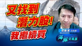 禁令鬆綁，普天同慶! 海豚繼續加碼持股 (圖)