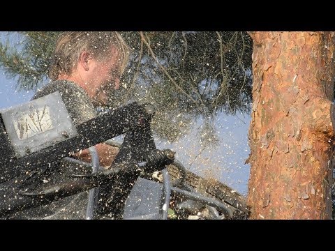 Forstarbeiten – gewusst wie!