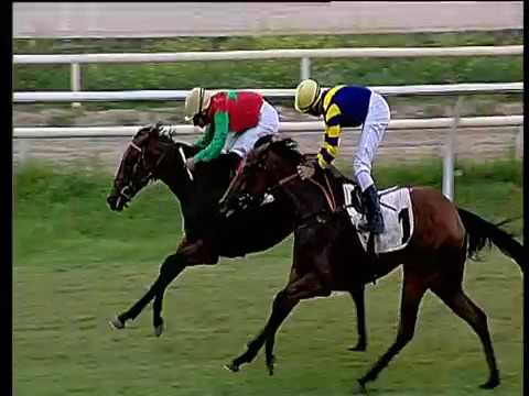 Galoppo 06/07/2018 - 5ª corsa