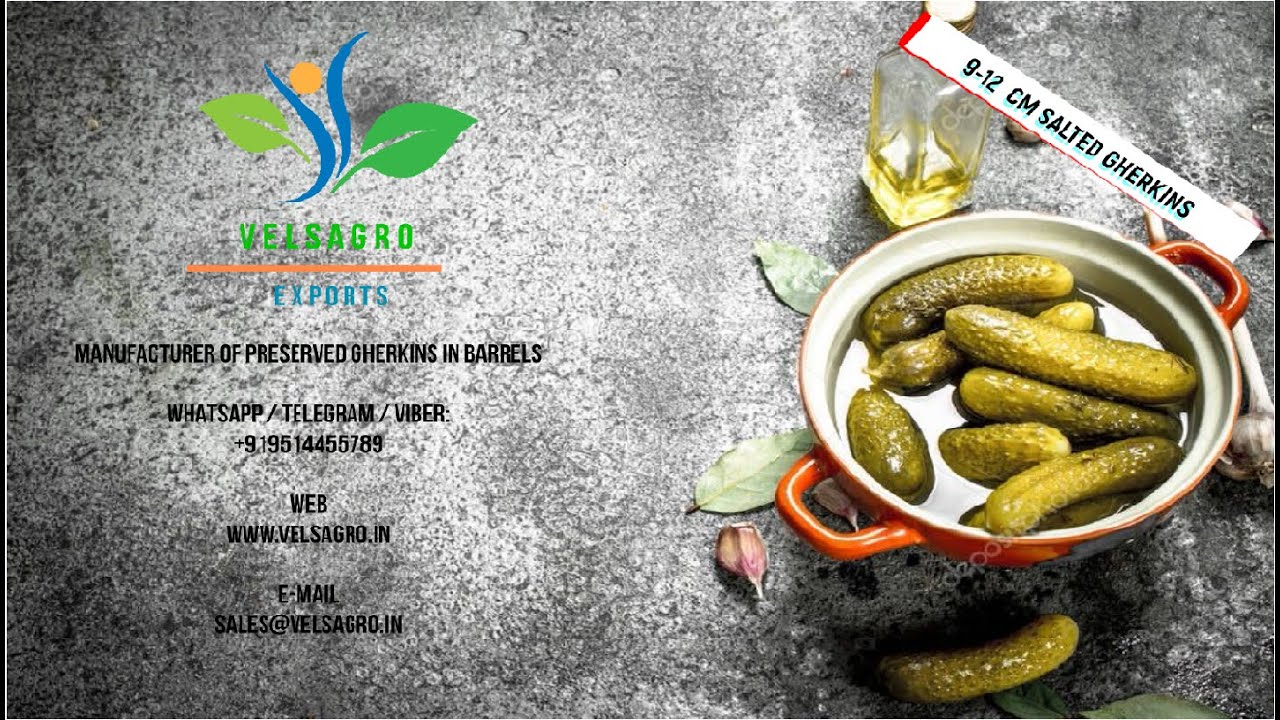Preserved Gherkins  9-12 cm Salted