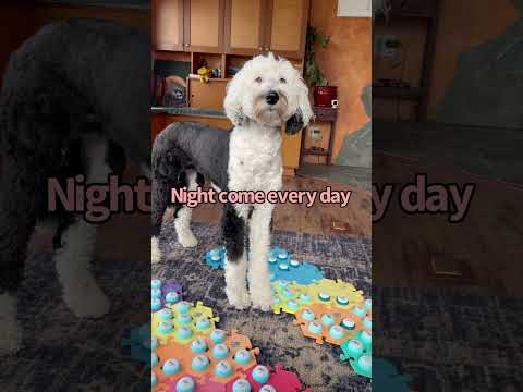 Do you know the full story?? #iambunny