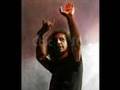 Serj Tankian's Brilliant Vocals 
