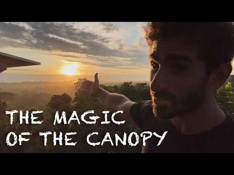 Canopy By Amazon