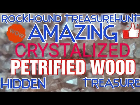 ROCKHOUND TREASUREHUNT - AMAZING CRYSTALIZED PETRIFIED WOOD HIDDEN TREASURE OF CRYSTALIZATION "WOW"