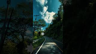 Download lagu payung terakhir mp3 Download lagu payung terakhir mp3