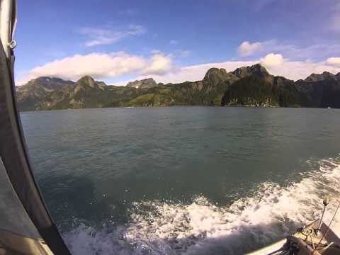 download lagu mp3 mp4 Silver Salmon Derby, download lagu Silver Salmon Derby gratis, unduh video klip Silver Salmon Derby