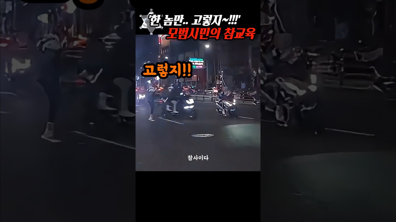 '한 놈만 걸려..' 경찰이 보고만 있자 참다 못한 모범시민은..