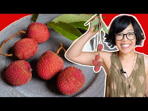 Fresh Mauritius & Brewster Lychee | Fruity Fruits