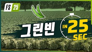 퀘이사존