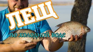Ловля леща по холодной воде осенью