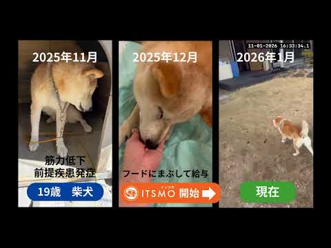 YouTube サムネイル